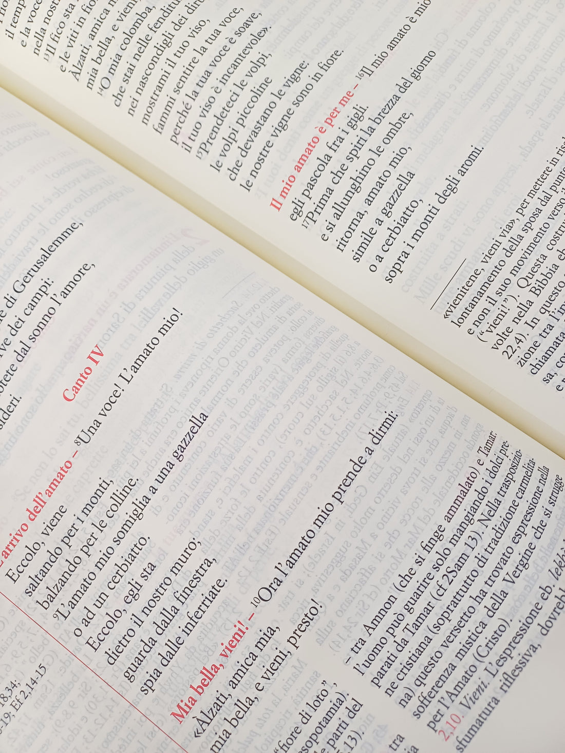 La Bibbia Scrutate le Scritture. Rossa