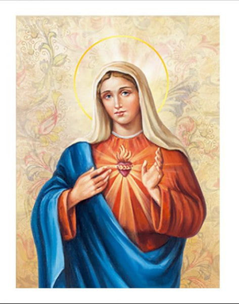 Quadro su tela Sacro cuore di Maria cm 25